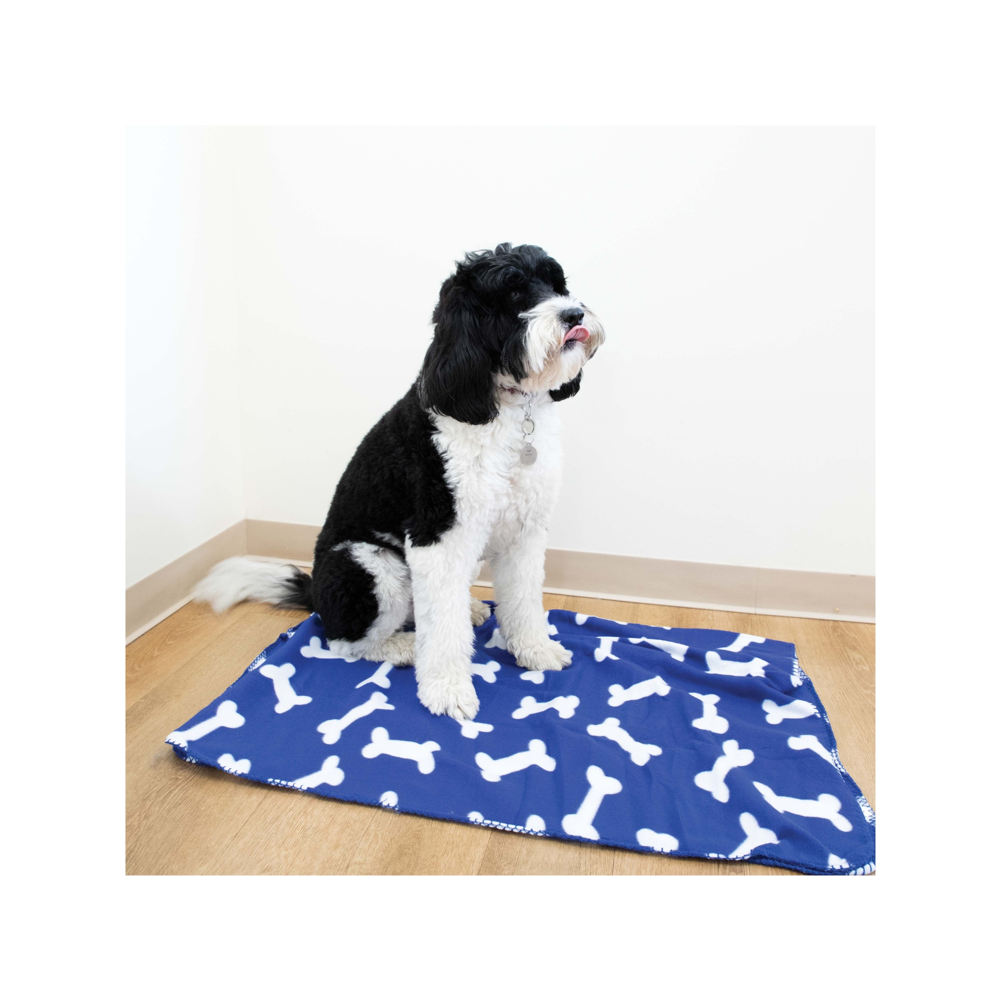 Dog Blanket, Fleece, for Fido - Bone Print Stollen Moments